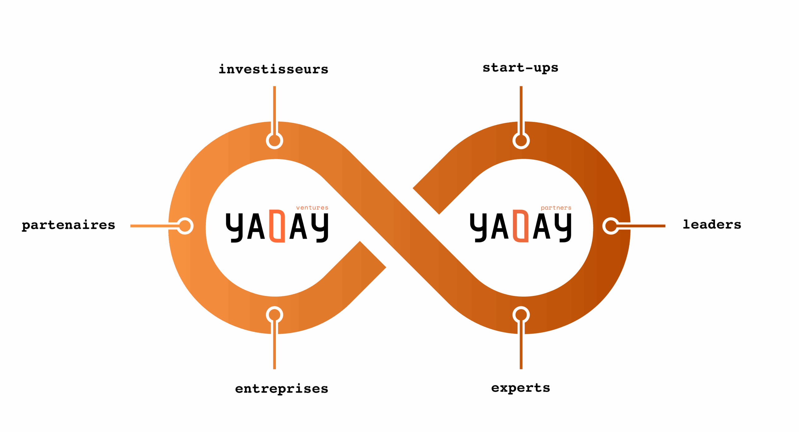 Infini_Yaday_1_FROK